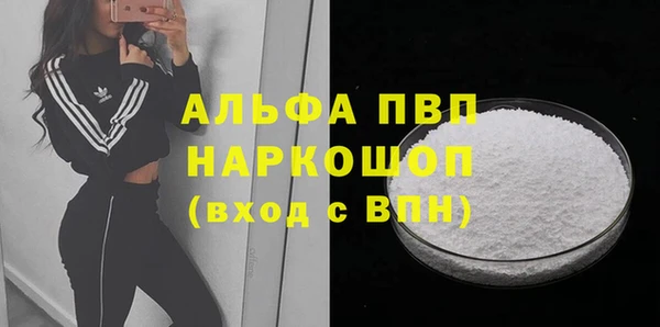 СК Алексин