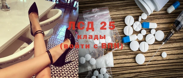 ГАЛЛЮЦИНОГЕННЫЕ ГРИБЫ Алзамай