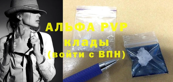 СК Алексин