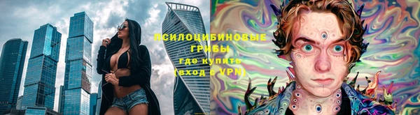 шишки Алексеевка
