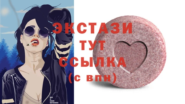 СК Алексин