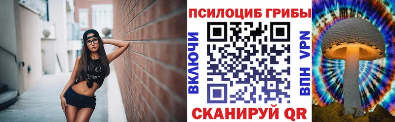 Псилоцибиновые грибы прущие грибы Миньяр
